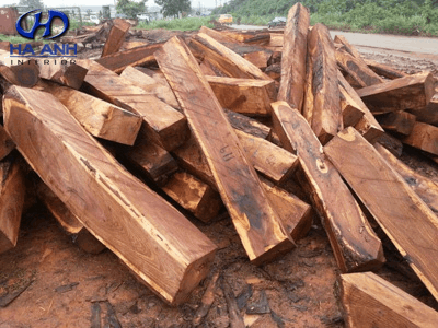 Gỗ hương đá là gỗ gì?