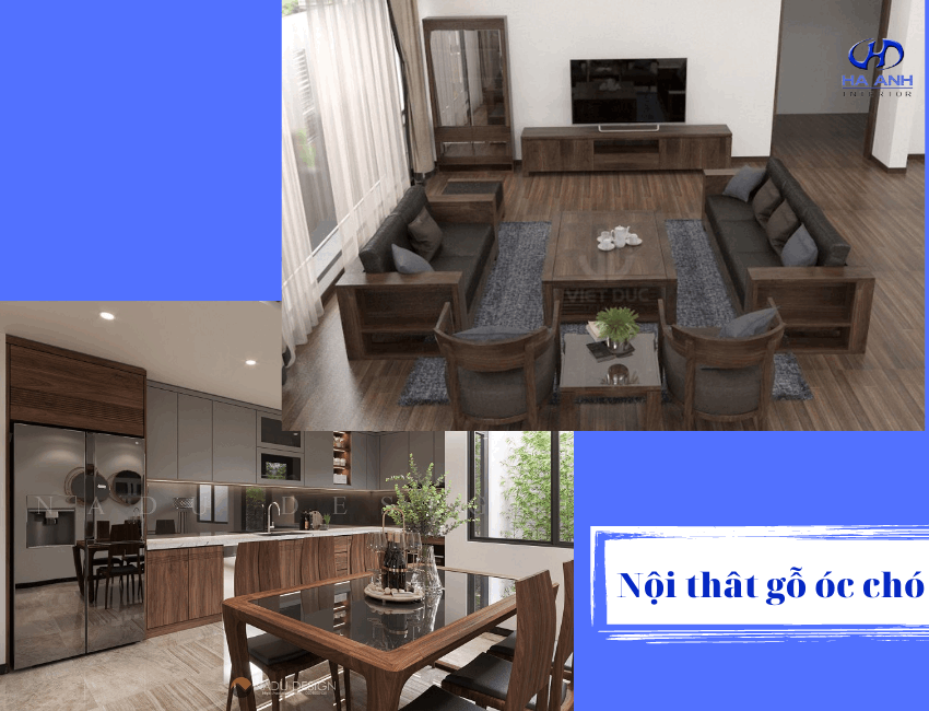 Thi công nội thất gỗ óc chó Bắc Ninh