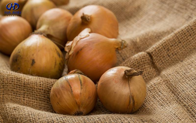 cách diệt gián trong tủ bếp bằng gỗ