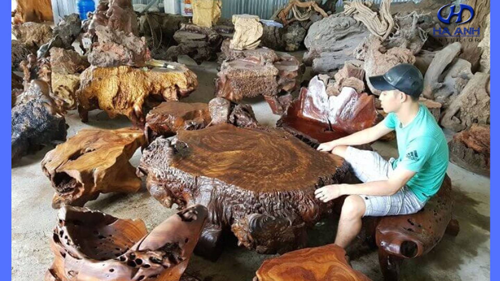 Gỗ nu kháo là gì ? Gỗ nu kháo có tốt không