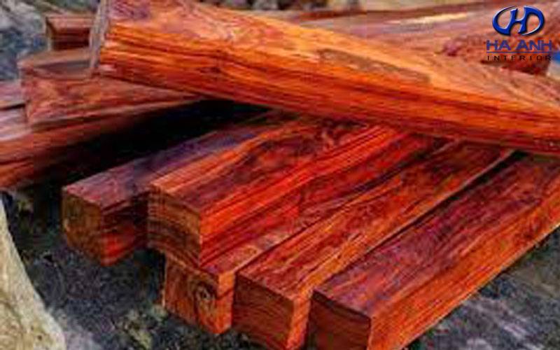 Gỗ trắc đỏ là gì? Ứng dụng gỗ trắc đỏ trong nội thất